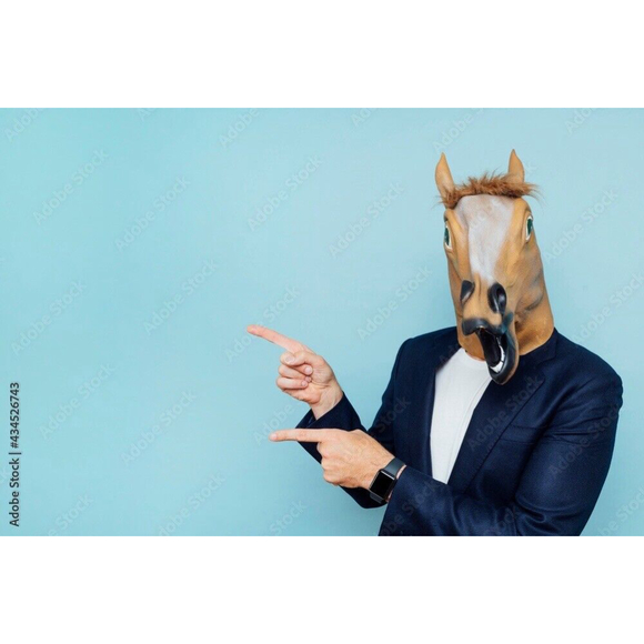 HORSE Mask FULL SIZE Life-Like Realistic Costume Adult HEAD Latex Brown Furry - Picture 3 of 5